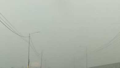 Photo of Densa nube de neblina arropa la capital