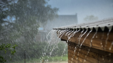 Photo of Fuertes lluvias este viernes: ¿qué las provoca?
