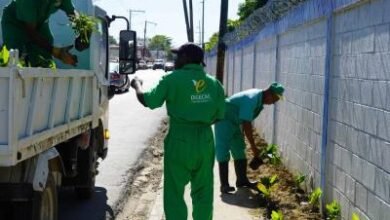 Photo of Digecac siembra más de 1,200 plantas en pared de la Fuerza Aérea