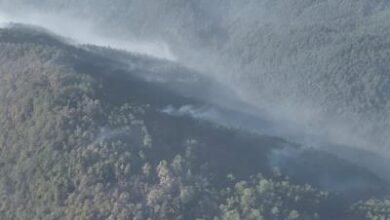 Photo of Fuego en el Parque J. Armando Bermúdez está totalmente controlado