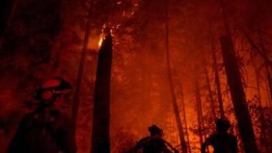 Photo of Canadá envía al ejército para combatir incendios forestales