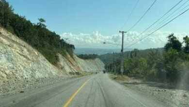 Photo of Pide reinstalación de muros de seguridad tras accidentes en El Puerto