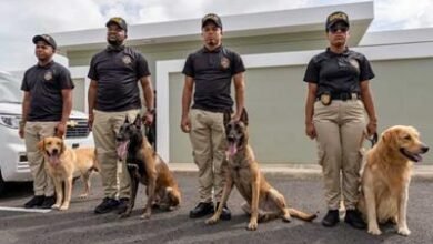 Photo of DNCD recibe moderna residencia canina K9 de Aerodom