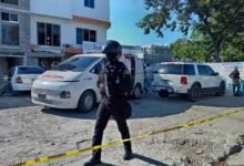 Photo of Faride anuncia suspensión de agentes por muerte de hombres en Santiago