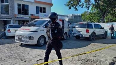 Photo of Faride anuncia suspensión de agentes por muerte de hombres en Santiago