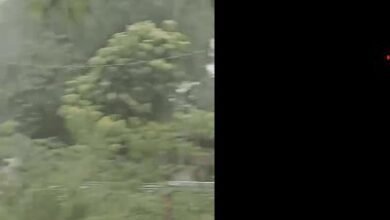 Photo of Se registran lluvias, vientos y granizos en Licey al Medio