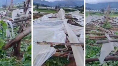 Photo of Fuertes vientos en Constanza provocan daños viviendas y invernadero