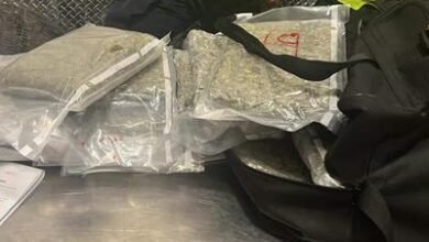 Photo of Incautación de marihuana en Aeropuerto de Punta Cana