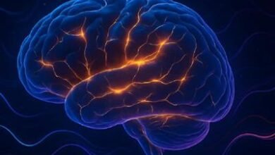 Photo of Descubren compuesto para tratamiento de lesiones cerebrales