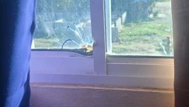 Photo of Tirotean vivienda del alcalde de Navarrete