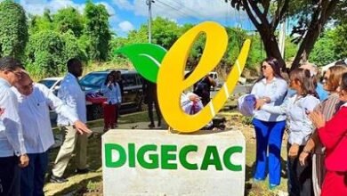 Photo of Digecac remoza el Triángulo Verde en la avenida Hípica