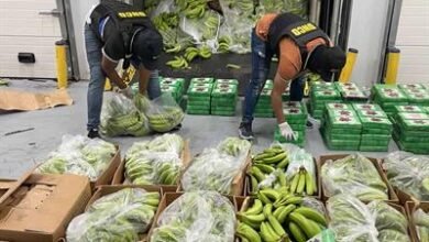 Photo of DNCD dice reforzar operativos antidrogas por temporada navideña
