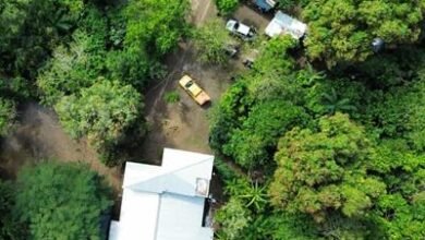 Photo of 11 días de la desaparición de Brianna Genao