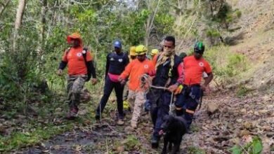 Photo of Crean Unidad Canina para fortalecer búsqueda de personas desaparecidas