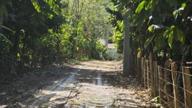 Photo of Desaparición niña Brianna Genao: avances en la investigación