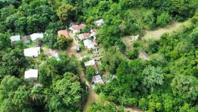 Photo of Detalles sobre la niña desaparecida Barrero: Brianna Genao Rosario