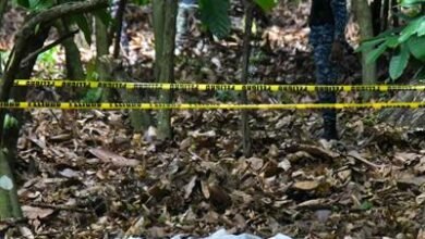 Photo of Dudan del origen de cortina hallada en búsqueda de Brianna