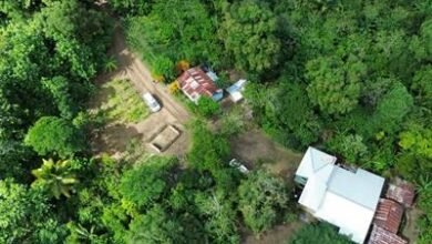 Photo of Reducen personal de búsqueda tras 17 días de desaparición de Brianna