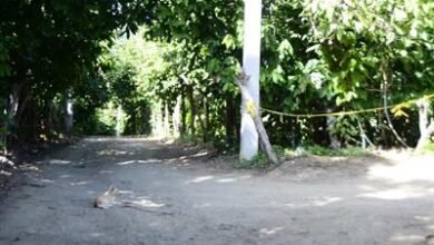 Photo of Se reduce más el personal en la búsqueda de Brianna Genao en Imbert