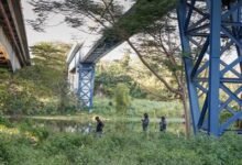 Photo of Búsqueda de motorista en río Isabela continuará el jueves