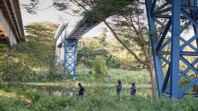 Photo of Búsqueda de motorista en río Isabela continuará el jueves