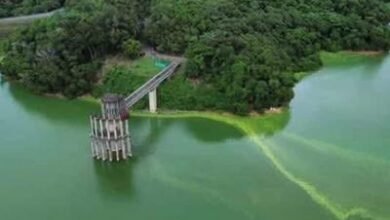 Photo of Realizarán trabajos de limpieza en cola de la presa de Hatillo