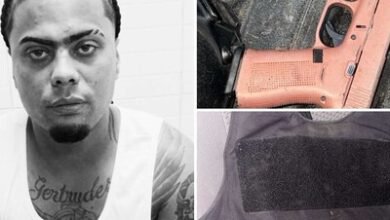 Photo of Picachu fue ultimado por la Policía en La Guáyiga