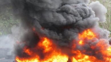 Photo of Procuraduría incinera más de 470 kilos de drogas