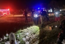 Photo of Accidente de guagua en Villa Hermosa en La Romana con varios afectados