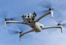 Photo of Noticias que fueron tendencia viernes 20 de marzo