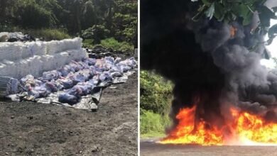 Photo of Ministerio Público y DNCD destruyen cargamento de drogas