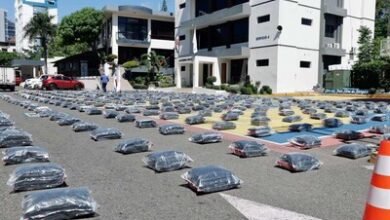 Photo of Agentes decomisan 1,163 paquetes de presunta marihuana en Puerto Plata