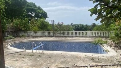 Photo of ¿Cómo participar en la subasta de bienes incautados Incabide?