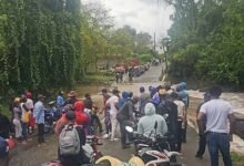 Photo of Crecida del arroyo Ceiba deja decenas de personas varadas