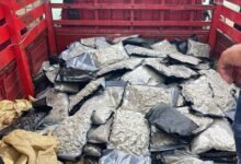 Photo of Decomisan 151 paquetes de marihuana sintética en Azua