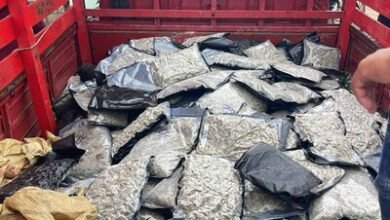 Photo of Decomisan 151 paquetes de marihuana sintética en Azua