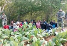 Photo of Detienen a 23 haitianos en zona boscosa de Dajabón