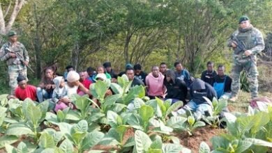 Photo of Detienen a 23 haitianos en zona boscosa de Dajabón