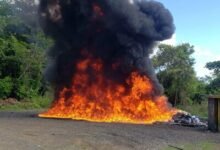 Photo of Inacif quema drogas en un nuevo operativo de destrucción