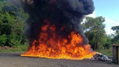 Photo of Inacif quema drogas en un nuevo operativo de destrucción