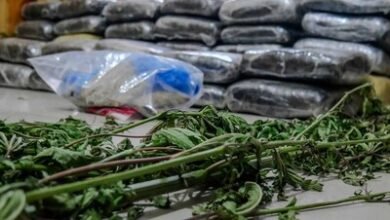 Photo of Incautan alijo de drogas con 613 libras en Elías Piña