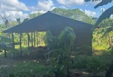 Photo of Policía informa rescate de adolescente de 15 años raptada en Bonao