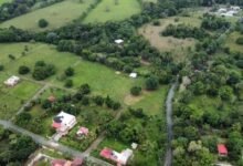 Photo of ¿Quiénes no pueden participar en la subasta de bienes incautados?