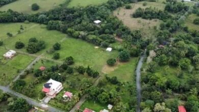 Photo of ¿Quiénes no pueden participar en la subasta de bienes incautados?
