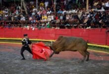 Photo of Inician fiestas en El Seibo con las tradicionales corridas de Toros