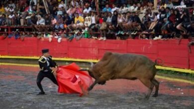 Photo of Inician fiestas en El Seibo con las tradicionales corridas de Toros