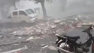 Photo of Caen pedazos del revestimiento de Malecon Center