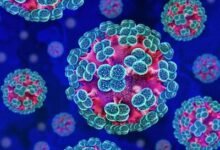 Photo of Brote de hantavirus en crucero: seis casos confirmados