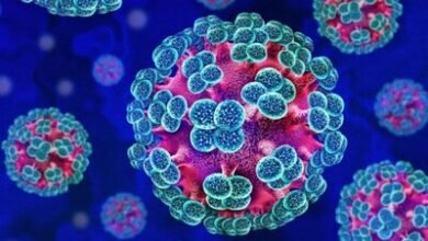 Photo of Brote de hantavirus en crucero: seis casos confirmados
