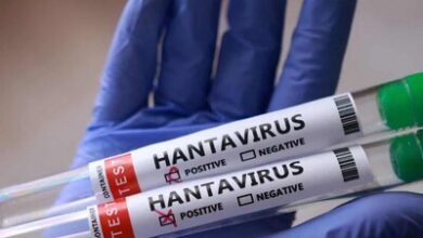 Photo of Tres países adquieren tratamiento experimental contra el hantavirus